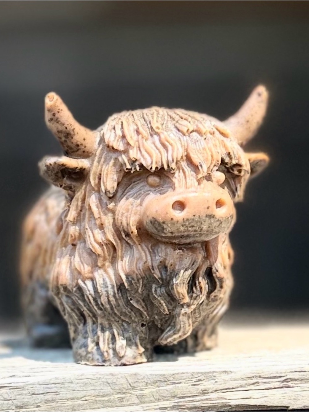 Hand Crafted Highland Cow Pumpkin Spice with Coffee Grounds